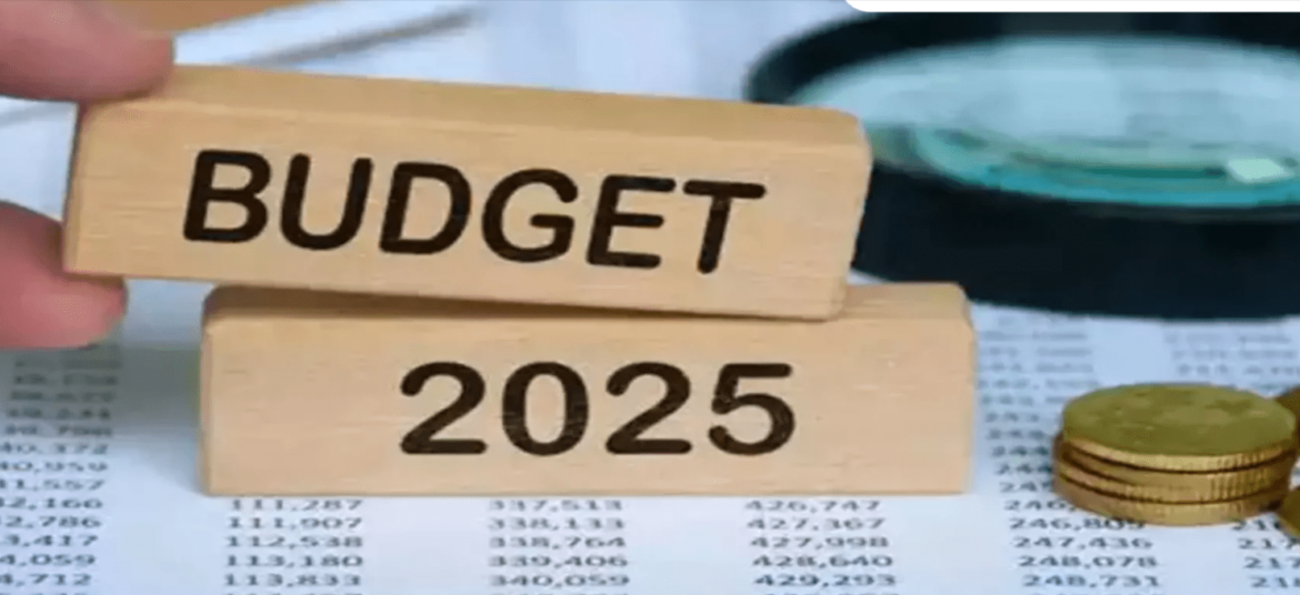 Budget 2025: What Impact It Will Have on Your Daily Life